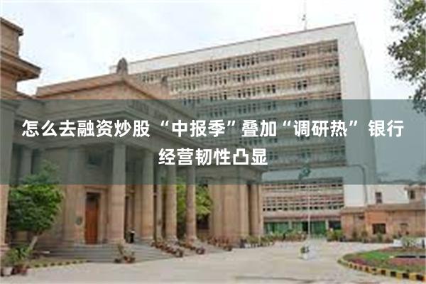 怎么去融资炒股 “中报季”叠加“调研热” 银行经营韧性凸显