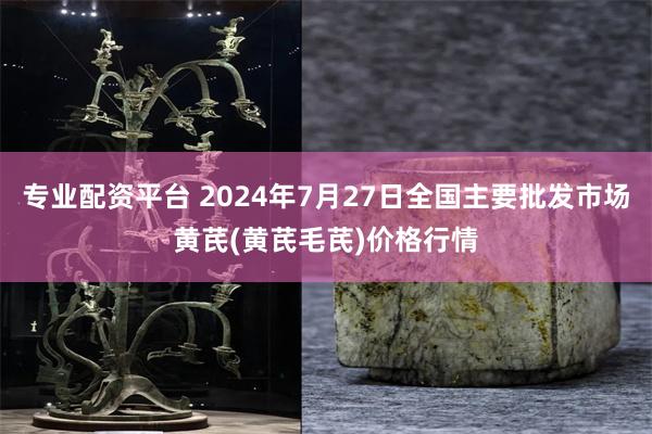 专业配资平台 2024年7月27日全国主要批发市场黄芪(黄芪毛芪)价格行情