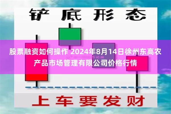 股票融资如何操作 2024年8月14日徐州东高农产品市场管理有限公司价格行情