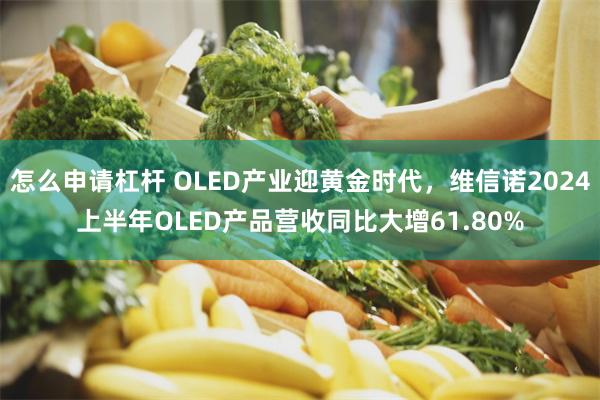 怎么申请杠杆 OLED产业迎黄金时代，维信诺2024上半年OLED产品营收同比大增61.80%