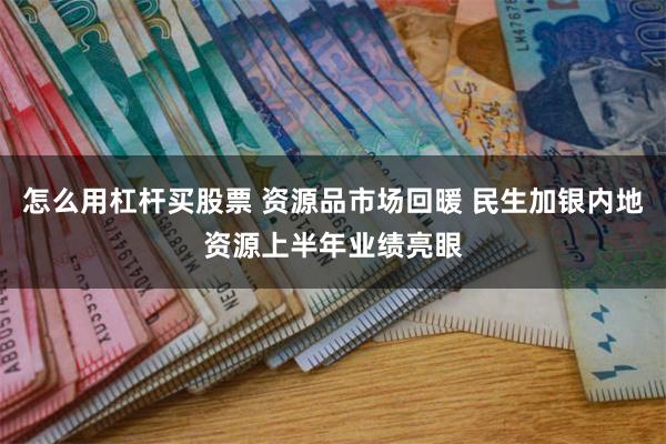 怎么用杠杆买股票 资源品市场回暖 民生加银内地资源上半年业绩亮眼