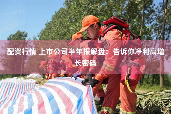 配资行情 上市公司半年报解盘：告诉你净利高增长密码