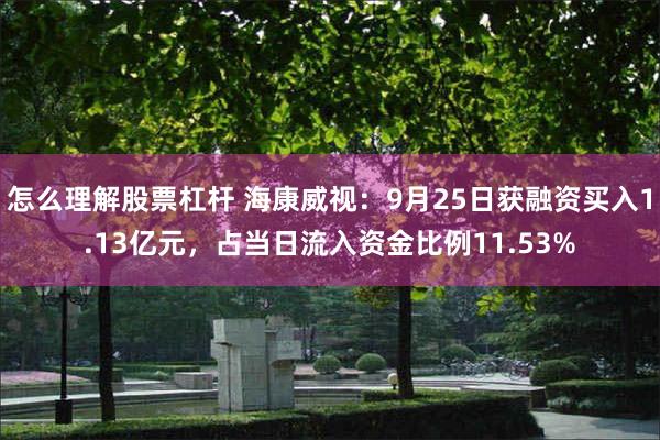 怎么理解股票杠杆 海康威视：9月25日获融资买入1.13亿元，占当日流入资金比例11.53%