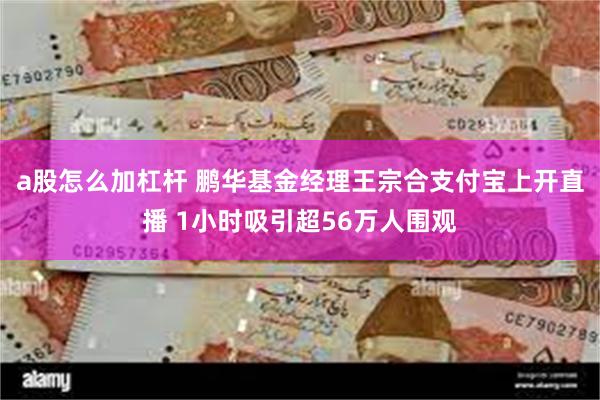 a股怎么加杠杆 鹏华基金经理王宗合支付宝上开直播 1小时吸引超56万人围观