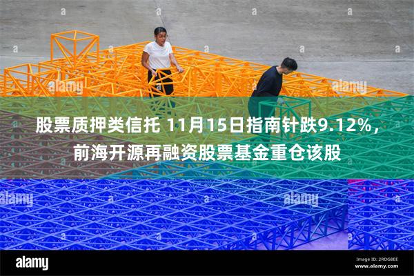 股票质押类信托 11月15日指南针跌9.12%，前海开源再融资股票基金重仓该股