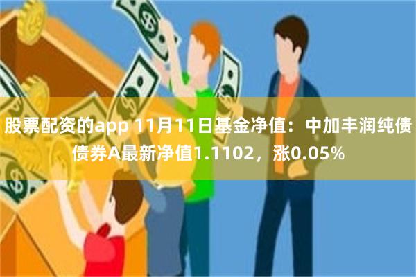 股票配资的app 11月11日基金净值：中加丰润纯债债券A最新净值1.1102，涨0.05%