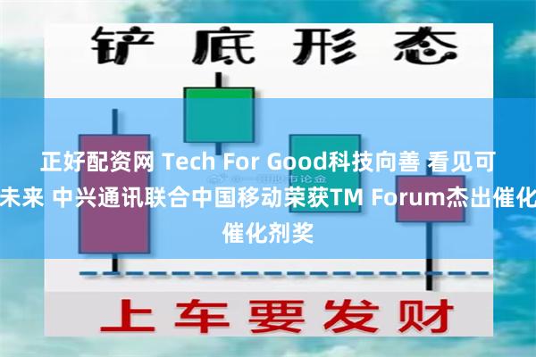 正好配资网 Tech For Good科技向善 看见可持续未来 中兴通讯联合中国移动荣获TM Forum杰出催化剂奖