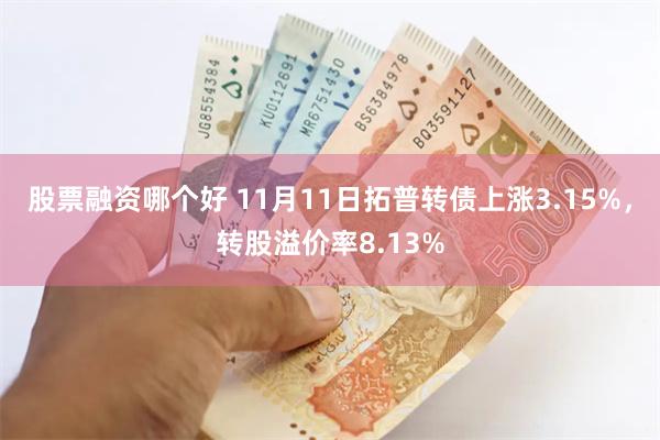 股票融资哪个好 11月11日拓普转债上涨3.15%，转股溢价率8.13%