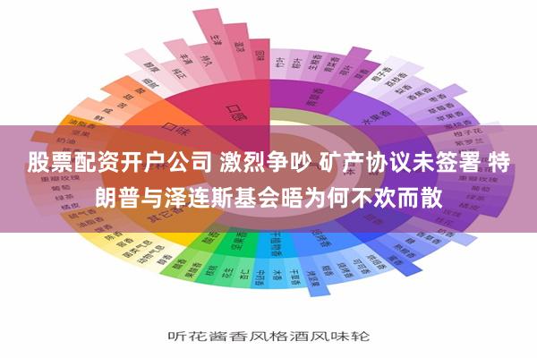 股票配资开户公司 激烈争吵 矿产协议未签署 特朗普与泽连斯基会晤为何不欢而散